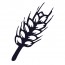 Ear of wheat 