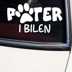 Hund i bilen