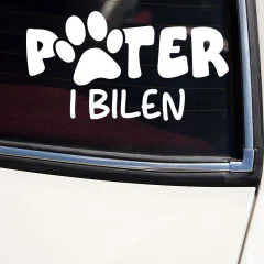 Hund i bilen