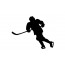 Ice hockey player 