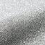 Silver G0021 