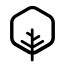 Six-sided wood 