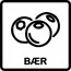 Bær 