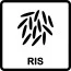 Ris 