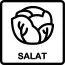 Salat 