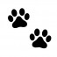 Dog paws 
