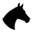Horse head 