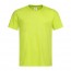 BLI lys lime 