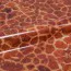 WILD-GIRAFFE EPWGIR 