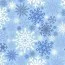 SNOWFLAKE EPSNOW 